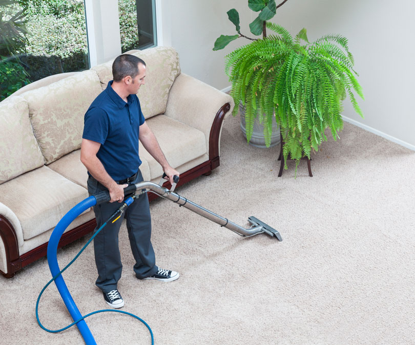 Carpet & Upholstery cleaning professional cleaning a carpet