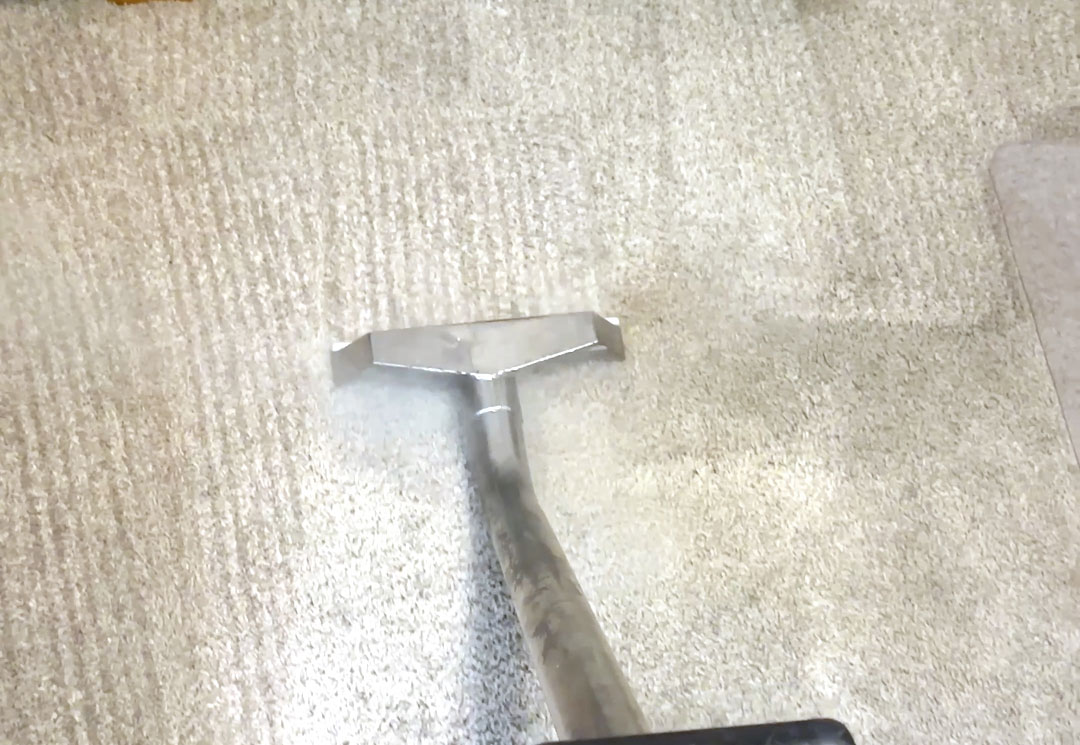 A Steam cleaner being used on a carpet