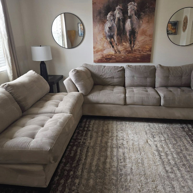 2-couches-and-rug